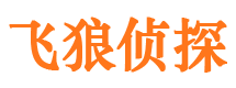 交城市调查公司